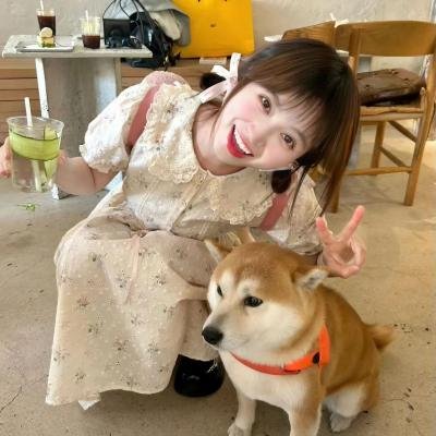 当樱花盛开